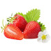 FS001 Four Seasons Red Strawberry Seed (200 seeds/bag)