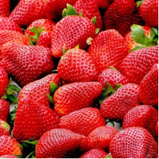 FS001 Four Seasons Red Strawberry Seed (200 seeds/bag)